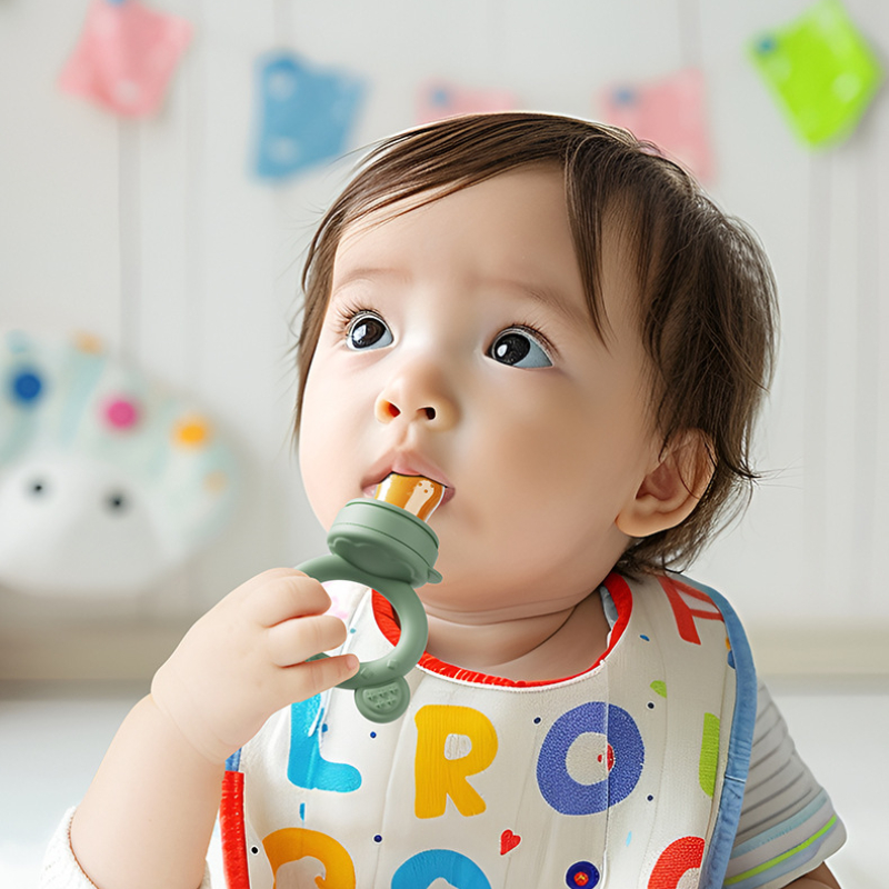 Baby Pacifier Fruit Feeder Wit - Baby Food Guide 评论和价格